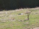 Foto17.JPG