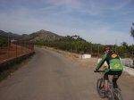 Desierto 0155.jpg