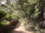 Desierto 0133.jpg