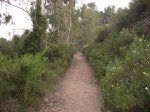 Desierto 0288.jpg