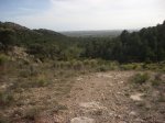 Desierto 0188.jpg