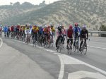 DIA DE ANDALUCIA-JAEN 2008.JPG