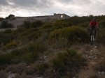 R0011931.JPG