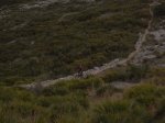 R0011938.JPG