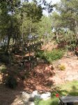 PICT0002 (Small).JPG