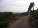 Desierto 0233.jpg