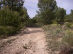 Desierto 0199.jpg