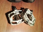 DSC00985.JPG