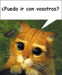 gato_shrek2.jpg