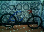 IMAG0010.jpg