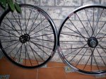 progress xc pro 004.jpg