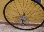 DSC04293.JPG