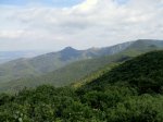 DSCF0816.JPG