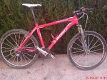 DSC00131.jpg