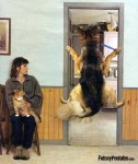 G_Miedo%20Al%20Veterinario.jpg
