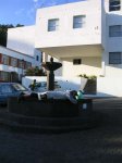 IMG_4710.JPG