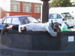 IMG_4711.JPG