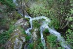 torrente de agua.JPG