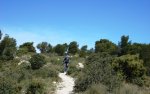 DSC04561x.JPG