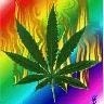 MARIGUANA.jpg