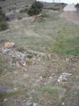 IMGP0339.JPG