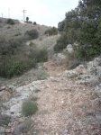 IMGP0337.JPG
