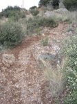 IMGP0327.JPG
