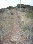 IMGP0323.JPG