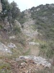 IMGP0319.JPG