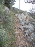 IMGP0318.JPG