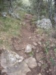 IMGP0317.JPG