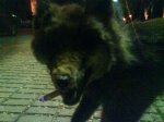 DSC00415.jpg