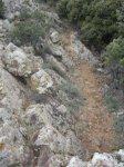 IMGP0306.JPG