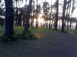 14042008125.jpg