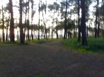 14042008126.jpg