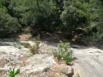 DSCN3796.jpg