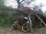 yo bici pintada.JPG