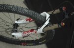 marzocchi-2009-sea-otter-1.jpg