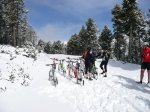 neu1W.JPG