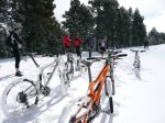 neu2W.JPG