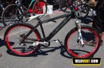 1208482536copy_tomac4.jpg