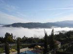 DSC06251.jpg