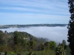 DSC06252.jpg