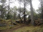 DSC04842.jpg