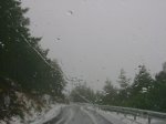 DSC02038.JPG