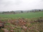 P4200127.JPG