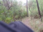 P4200116.JPG