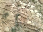m_20042008358.jpg
