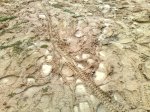 m_20042008363.jpg