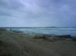 DSC01795p.jpg